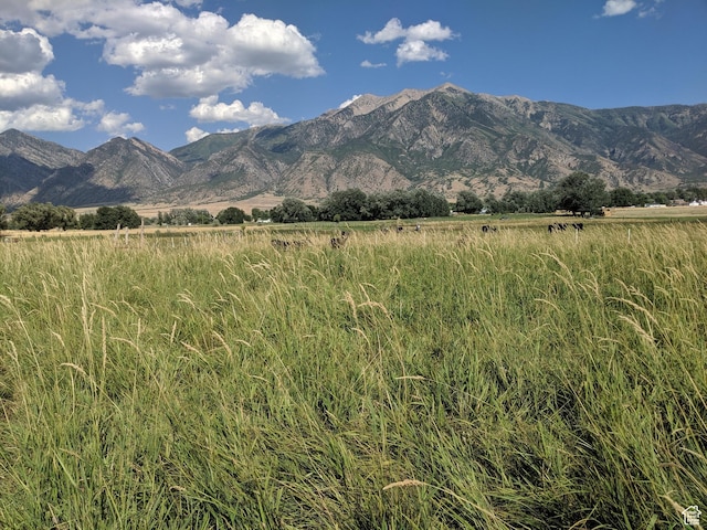 912 W Goshen Rd, Mona, UT 84645 - photo 20