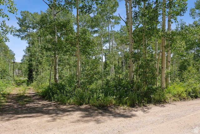 2244 W Boulder Dr Unit 70, Midway, UT 84049 - photo 15