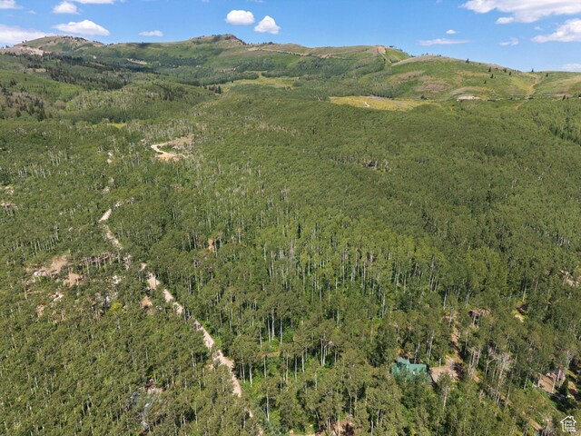2244 W Boulder Dr Unit 70, Midway, UT 84049 - photo 13