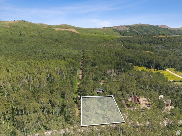 2244 W Boulder Dr Unit 70, Midway, UT 84049 - photo 2