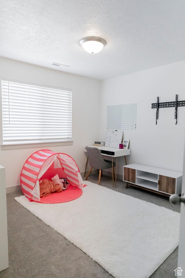 1533 W Piston Ln, Bluffdale, UT 84065 - photo 32