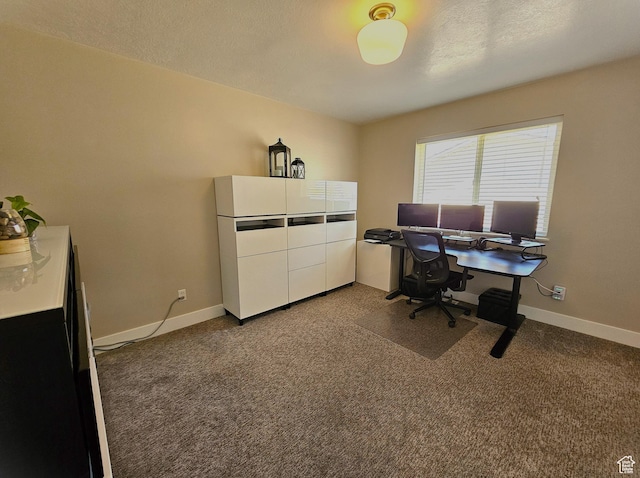 65 S 800 E, Spanish Fork, UT 84660 - photo 9