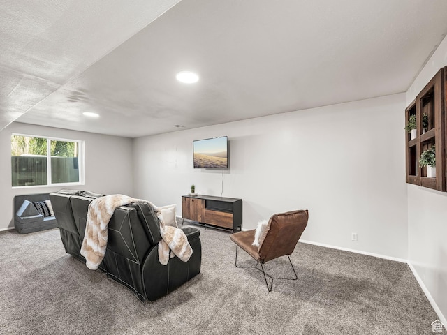 407 E 760 S, Nephi, UT 84648 - photo 13