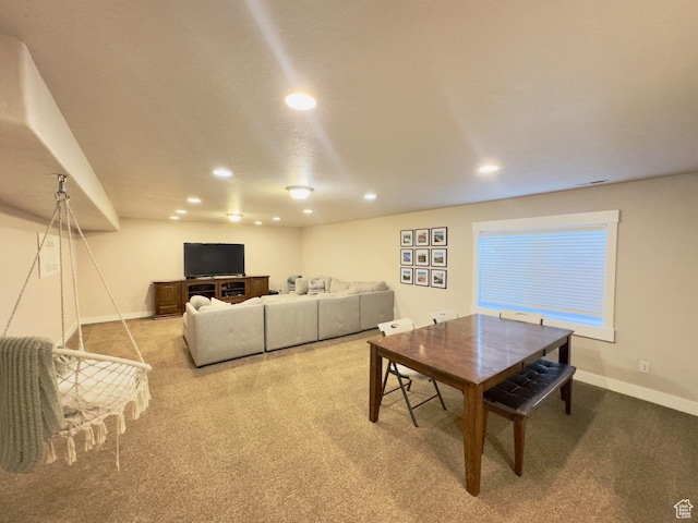 727 E Orchard Dr, Pleasant Grove, UT 84062 - photo 24