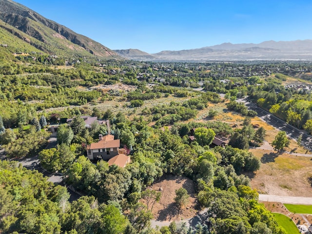 3316 E Lone Springs Cv, Sandy, UT 84092 - photo 10