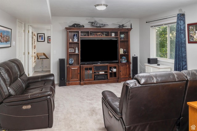 795 N 1300 E, Bountiful, UT 84010 - photo 69
