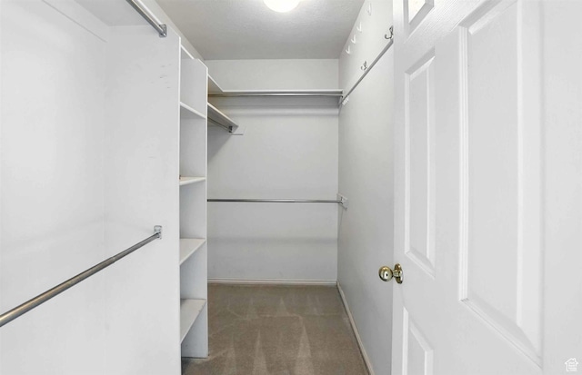 795 N 1300 E, Bountiful, UT 84010 - photo 21