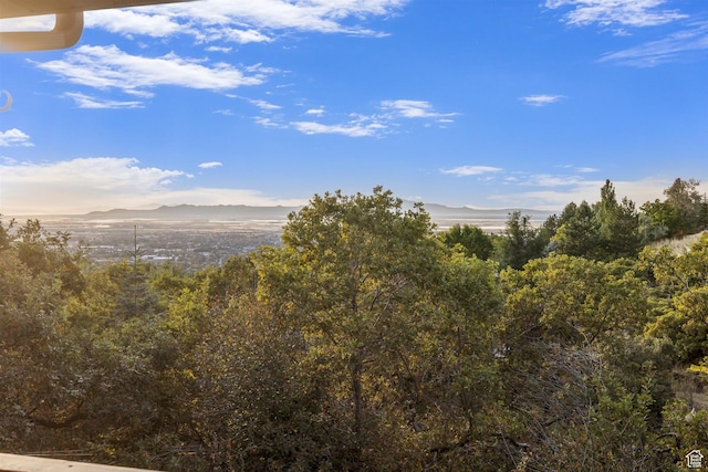 795 N 1300 E, Bountiful, UT 84010 - photo 59