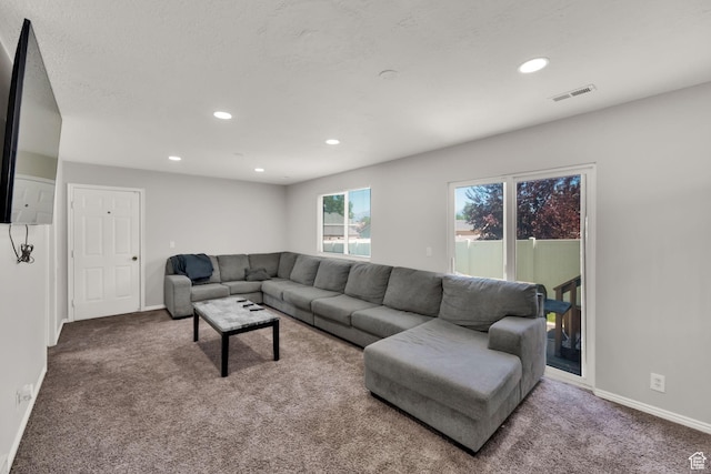 5343 W Ridge Brook Way, Salt Lake City, UT 84118 - photo 12