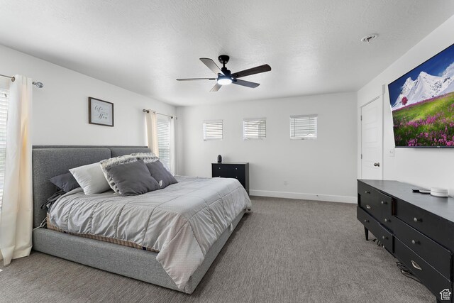 7887 N Sagebrush Ln, Eagle Mountain, UT 84005 - photo 11