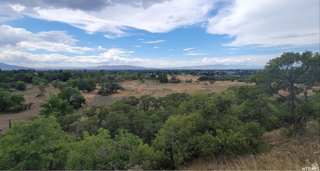 550 N 2000 E, Mapleton, UT 84664 - photo 9