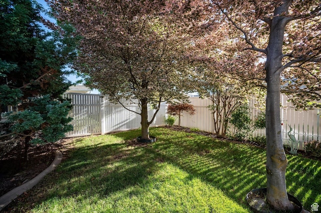 5615 S 1075 E, South Ogden, UT 84405 - photo 47
