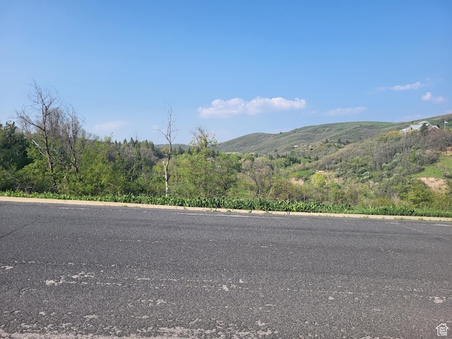 6151 Creekside Dr Unit 17, Mountain Green, UT 84050 - photo 4