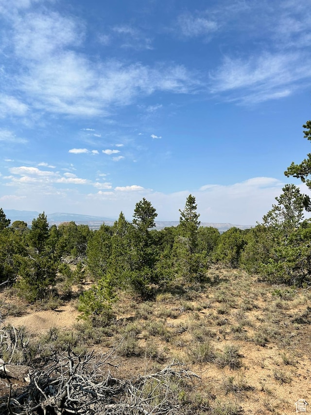 Unit 19, Fruitland, UT 84027 - photo 8