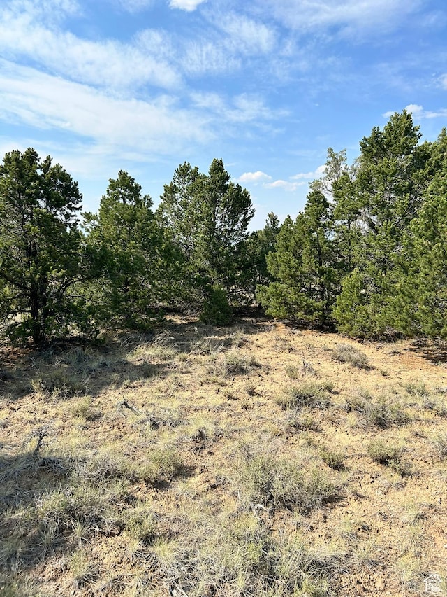 Unit 19, Fruitland, UT 84027 - photo 4