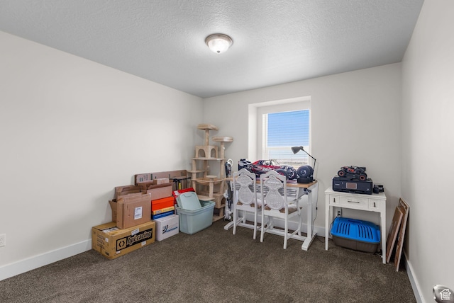 1416 E 270 S, Tooele, UT 84074 - photo 23