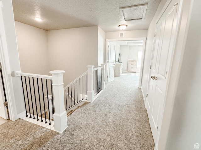 1148 S 800 W, Spanish Fork, UT 84660 - photo 12