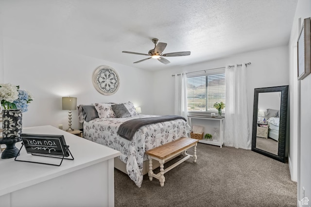 4132 N Poplar St E, Eagle Mountain, UT 84005 - photo 12