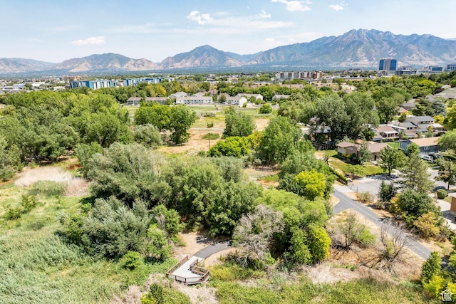 710 W Vine St, Murray, UT 84123 - photo 49