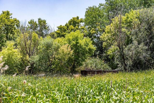710 W Vine St, Murray, UT 84123 - photo 45