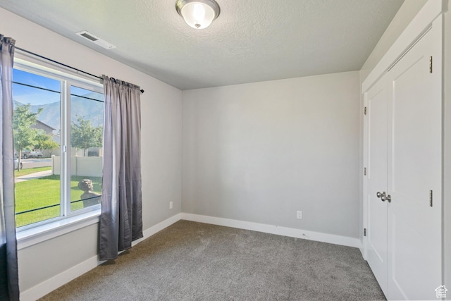 1327 W 50 N, Springville, UT 84663 - photo 13
