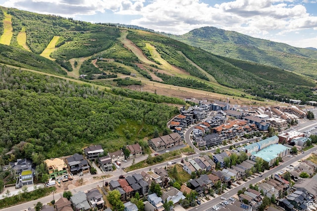1108 Lowell Ave, Park City, UT 84060 - photo 48