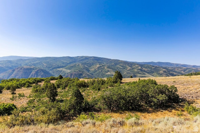 13213 E Oak Canyon Rd Unit 459, Huntsville, UT 84317 - photo 8