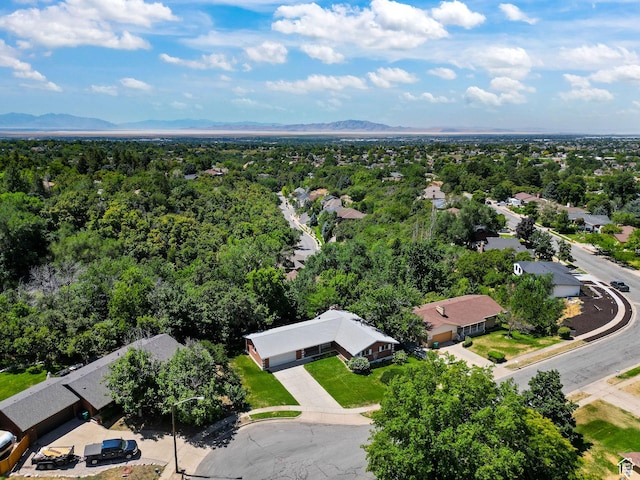 2826 E Brinton Cir, Layton, UT 84040 - photo 45