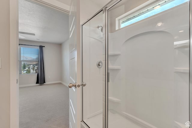 1466 W 1250 S, Springville, UT 84663 - photo 18