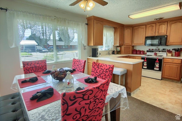 4493 S 1975 W, Roy, UT 84067 - photo 8