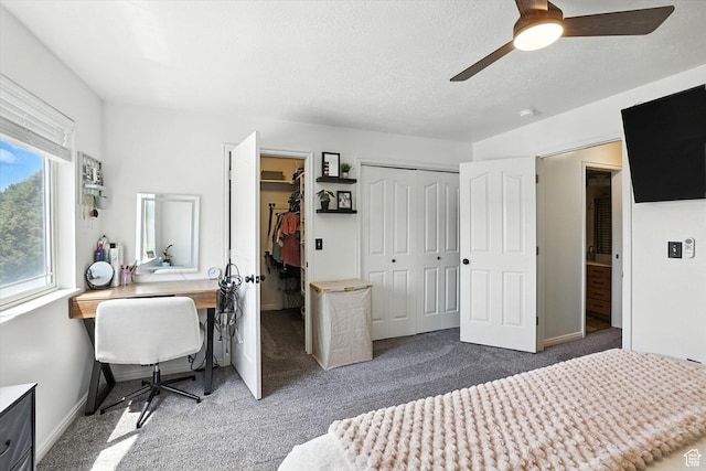 219 E 830 S, Smithfield, UT 84335 - photo 18