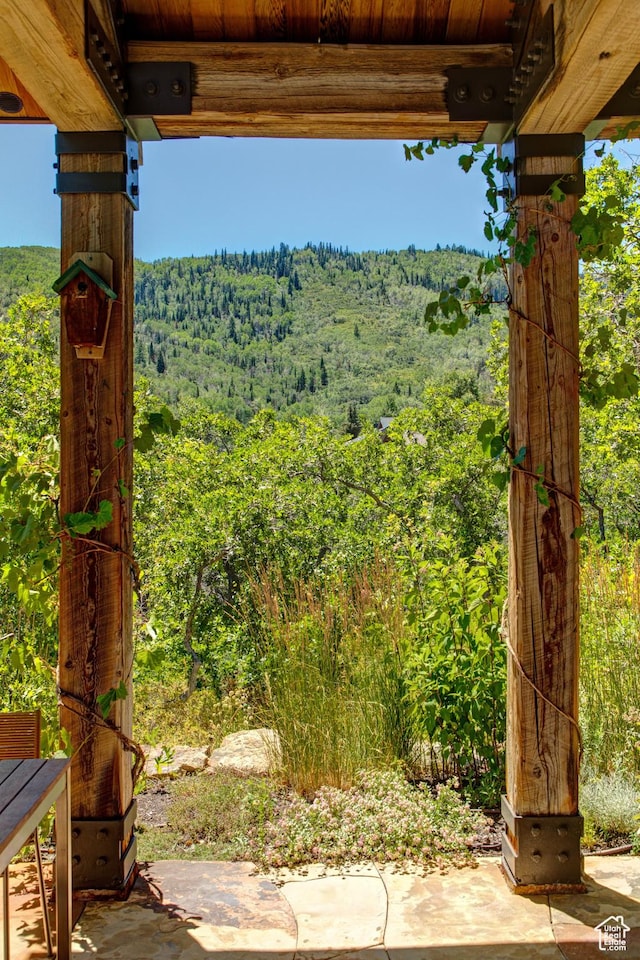 4830 Bear View Dr, Park City, UT 84098 - photo 82