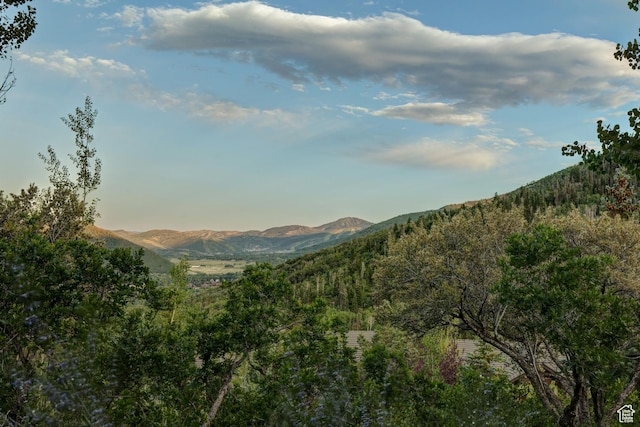 4830 Bear View Dr, Park City, UT 84098 - photo 101