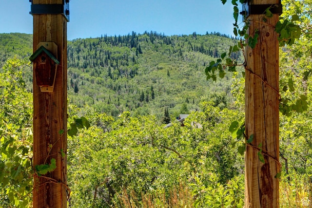 4830 Bear View Dr, Park City, UT 84098 - photo 83