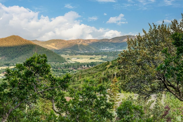 4830 Bear View Dr, Park City, UT 84098 - photo 100