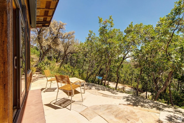 4830 Bear View Dr, Park City, UT 84098 - photo 67