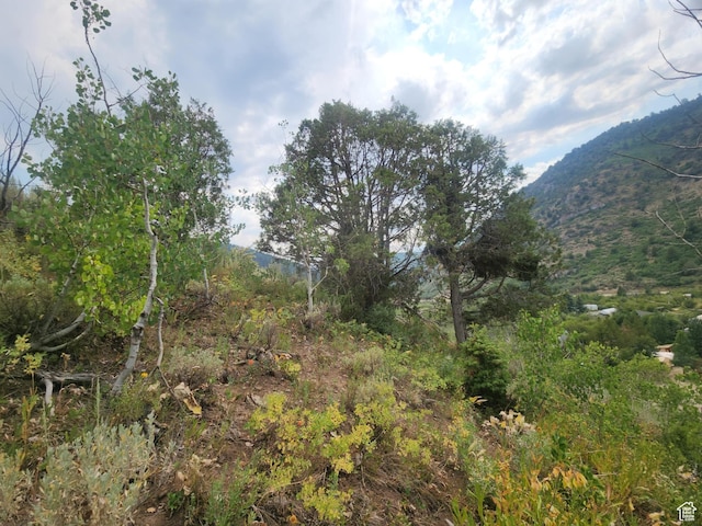 4060 E Wildlife Way N Unit 443, Kamas, UT 84036 - photo 13