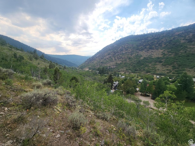 4060 E Wildlife Way N Unit 443, Kamas, UT 84036 - photo 11
