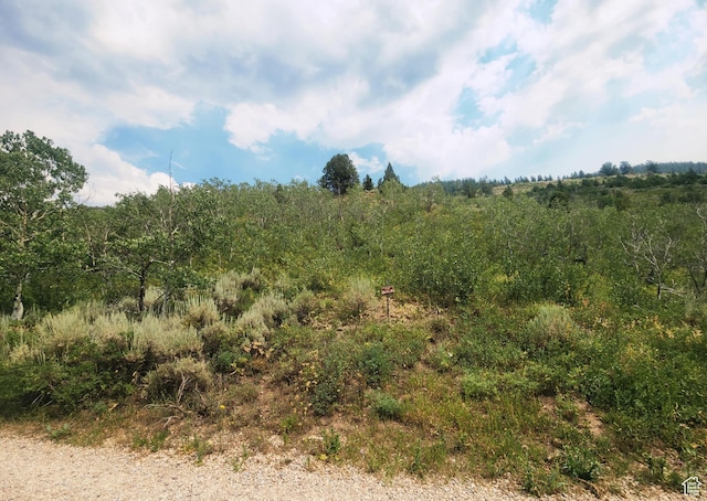 4060 E Wildlife Way N Unit 443, Kamas, UT 84036 - photo 33