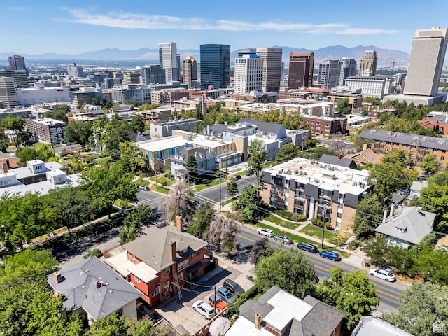 257 E 2nd Ave, Salt Lake City, UT 84103 - photo 36