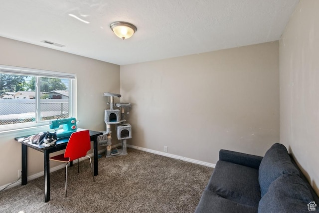 1188 W 1380 N, Provo, UT 84604 - photo 27