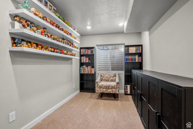 1084 S 4090 W, Syracuse, UT 84075 - photo 27