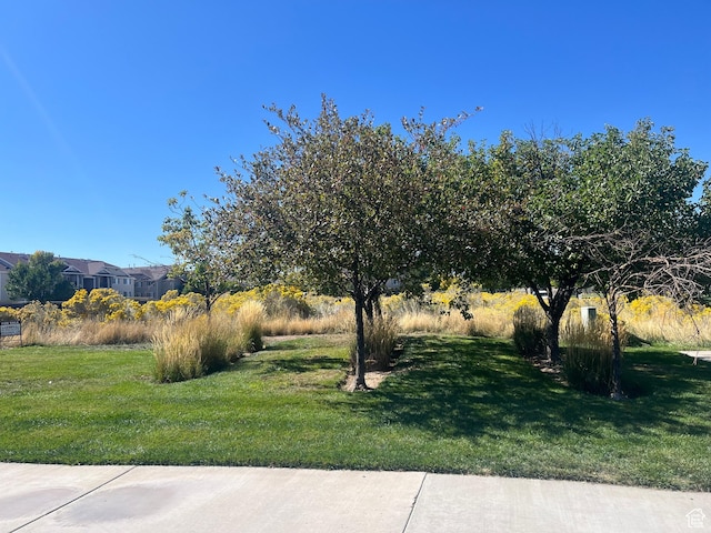 8251 N Ranches Pkwy E, Eagle Mountain, UT 84005 - photo 1