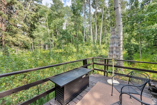 11152 E Green Briar Rd Unit 460, Heber City, UT 84032 - photo 24