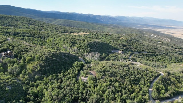 Unit 104, Fairview, UT 84629 - photo 7