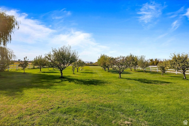 3011 N 1000 W, Pleasant View, UT 84414 - photo 38