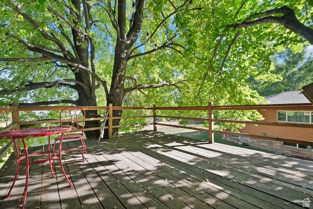 425 N Locust Ave, Lindon, UT 84042 - photo 40