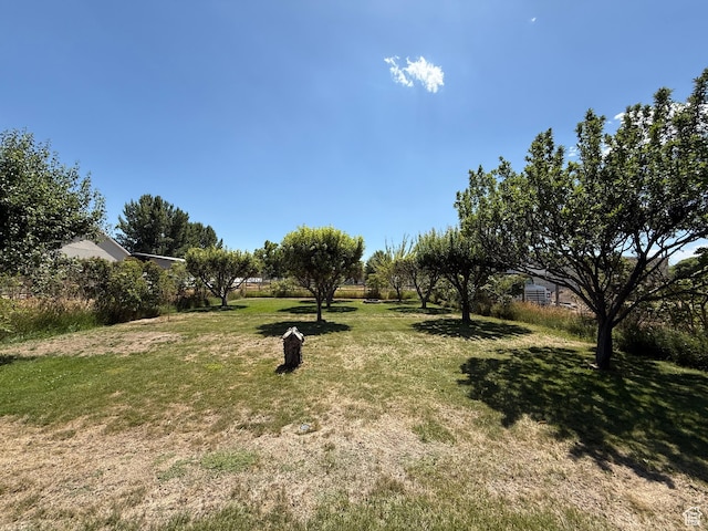 2303 W Cynthia Ann Cir, Riverton, UT 84065 - photo 29