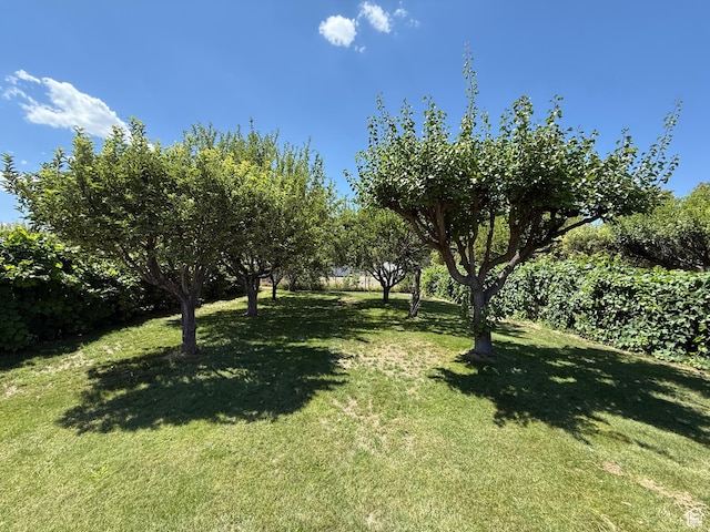 2303 W Cynthia Ann Cir, Riverton, UT 84065 - photo 28