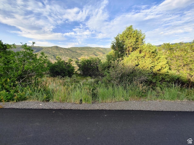 1652 S Ridgeline Dr Unit 1278, Heber City, UT 84032 - photo 2